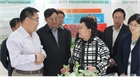 市委副書記、代市長艾麗華來我公司考察、調(diào)研